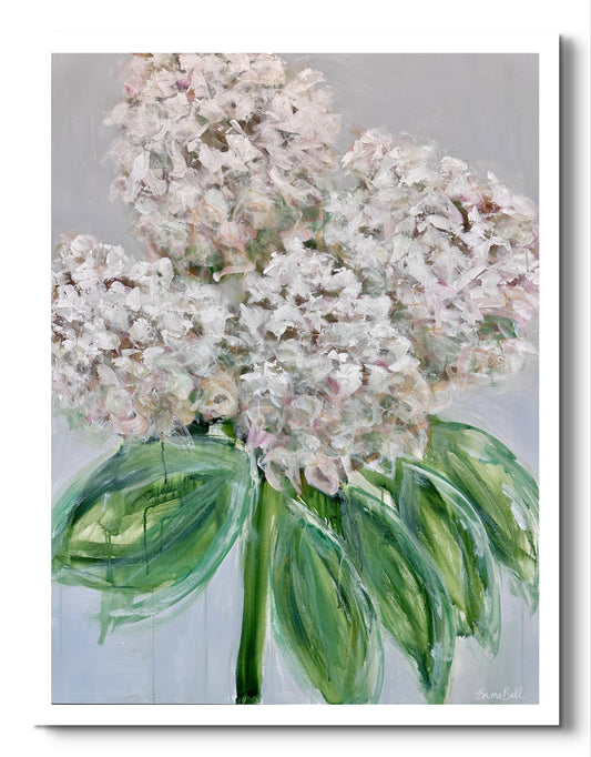 Four white hydrangeas