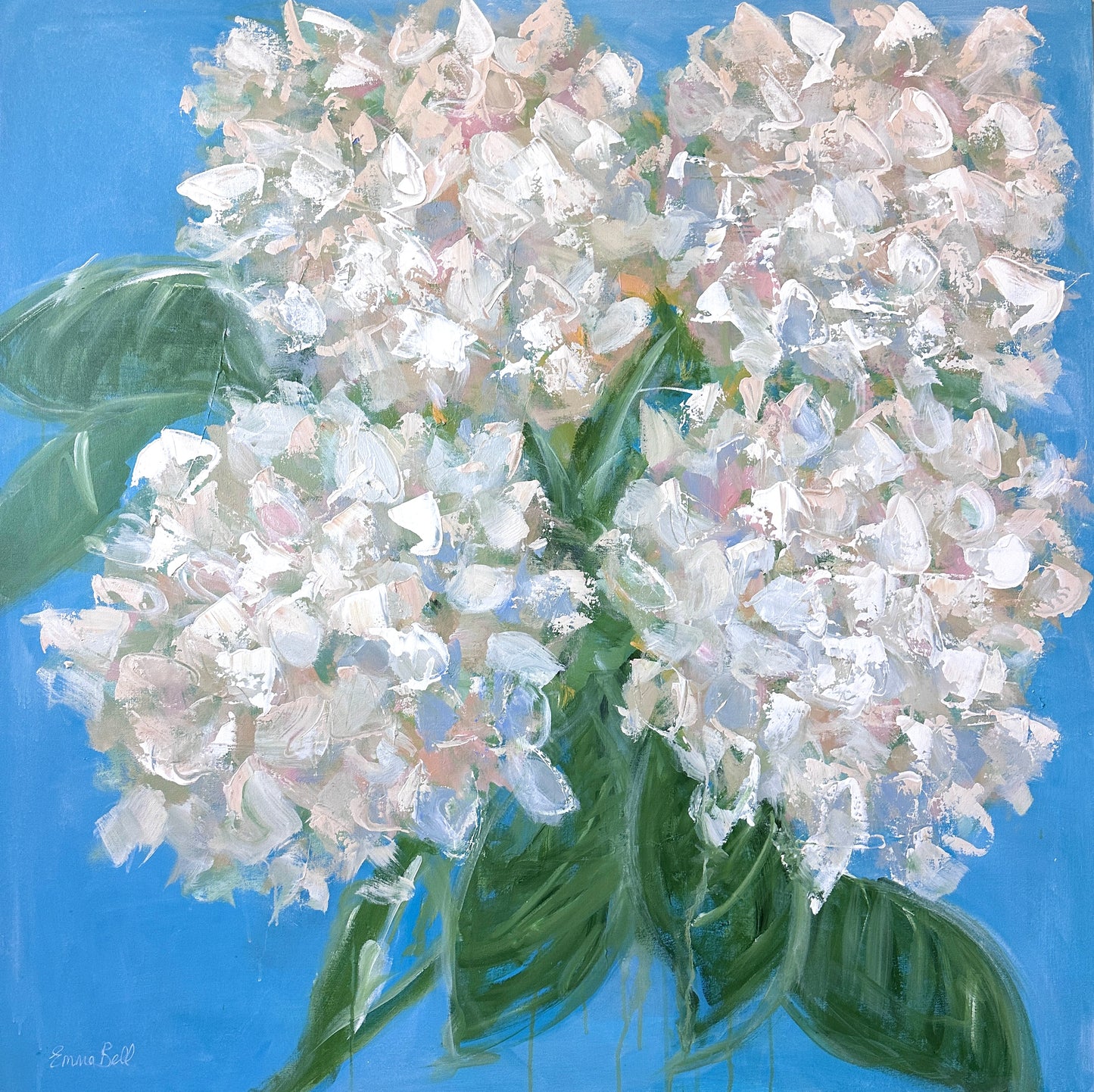 White Hydrangeas on Blue