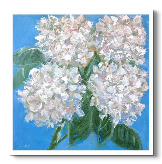 White Hydrangeas in blue